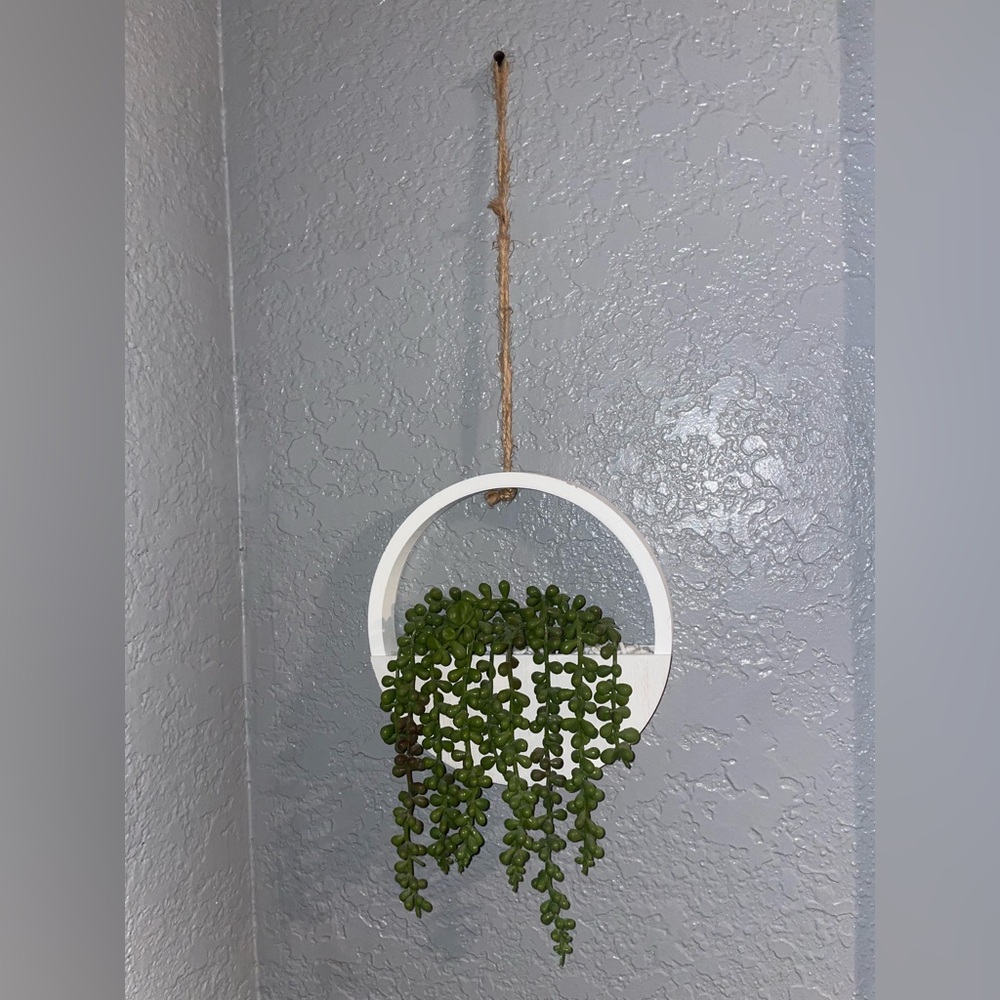 Modern Hanging Planter by Amazon - White and Green